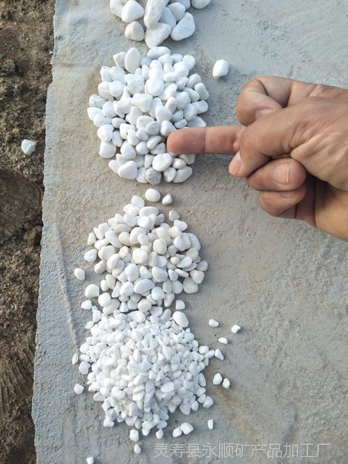 巴彦淖尔2 3公分白卵石哪里有卖的